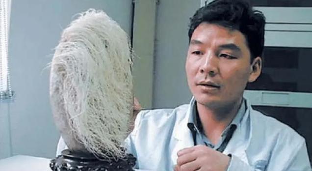 老农捡一长满白发的石头,专家闻讯赶来后,立马让人封锁整个村子