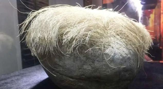 老农捡一长满白发的石头,专家闻讯赶来后,立马让人封锁整个村子