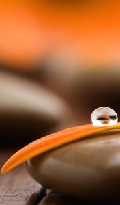 ​23张高清唯美水珠、水滴系列手机壁纸