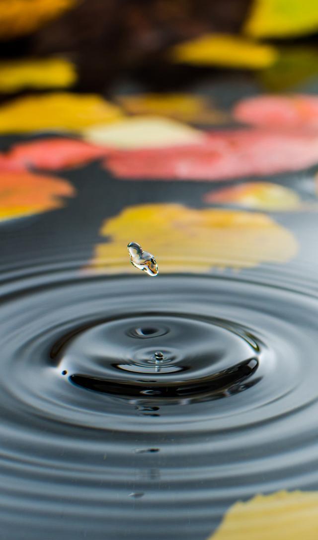 23张高清唯美水珠、水滴系列手机壁纸