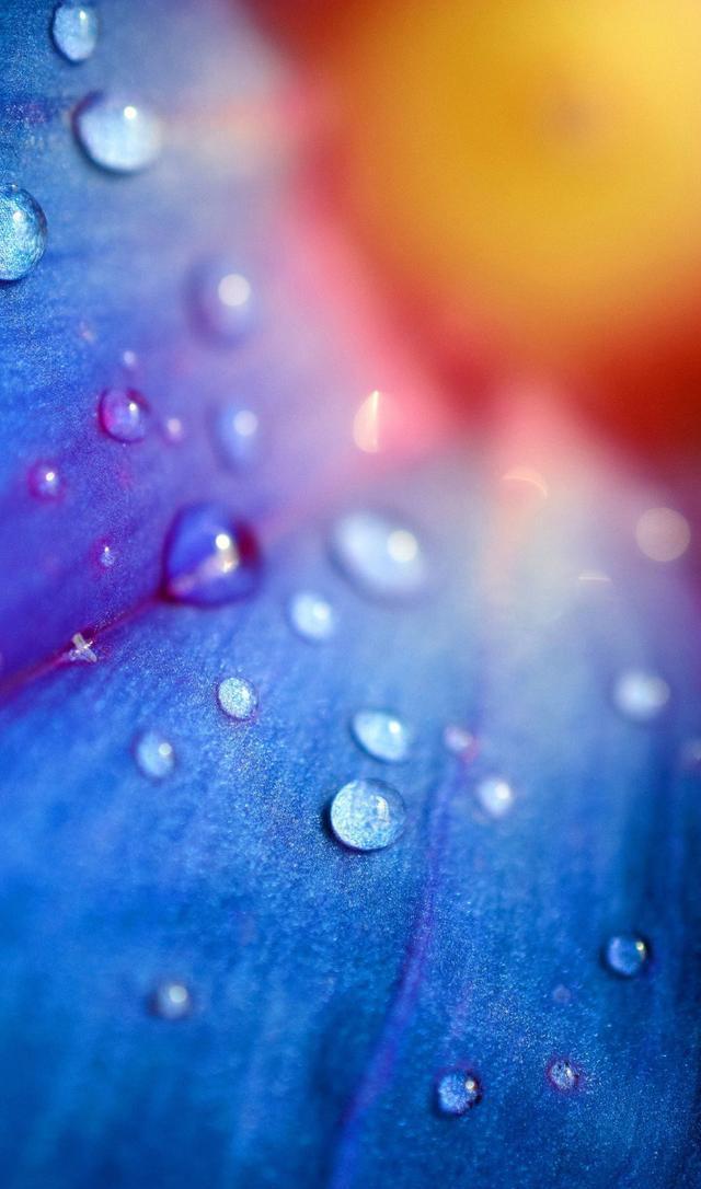 23张高清唯美水珠、水滴系列手机壁纸
