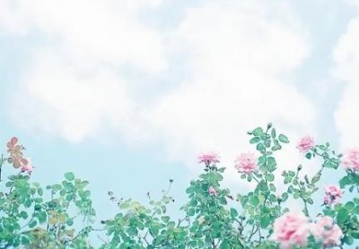 厨房橱柜颜色选择橱柜颜色怎么搭配