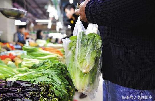 紫菜真的是塑料做的吗真相在这里（塑料做成的紫菜）(4)