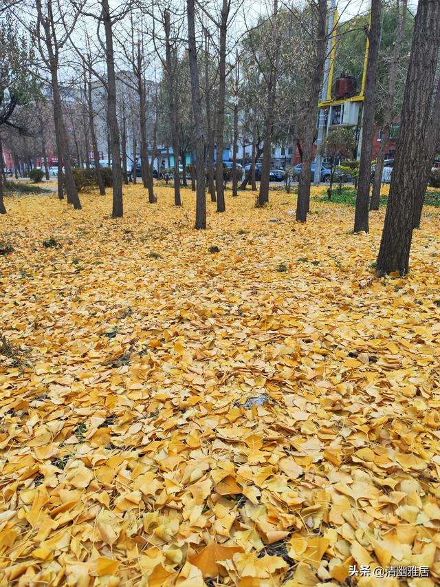 立冬问候语温暖人生（早安晨语立冬来临寒意浓）(2)