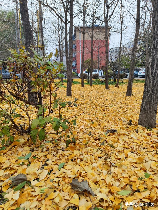 立冬问候语温暖人生（早安晨语立冬来临寒意浓）(3)