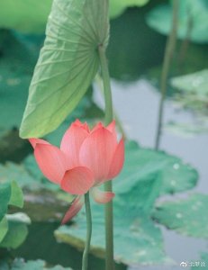 ​对方“想分手”的3个征兆，希望你一条没占，若全占就放手吧