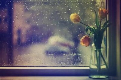 ​表达感恩的句子，心怀感恩的句子