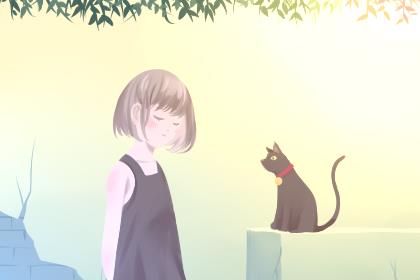 女生说随便怎么高情商回复呢